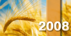 В текущем году доля продовольственного зерна в Украине составит 8,2 млн. тонн - прогноз