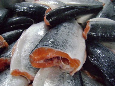 Рыба и морепродукты из Аргентины