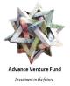 Инвестиции вместе с Advance Venture Fund