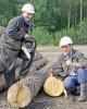 Требуются вальщики леса. Работа в Рязанской области. Зарплата высокая.